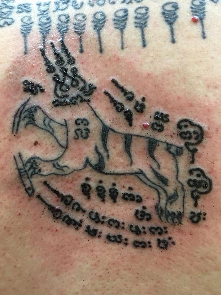 1524655672508168.jpg