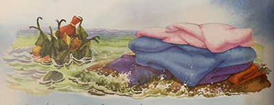 S__156270601.jpg